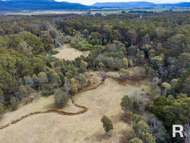 441 Elephant Pass Road (Lots 1&2), TAS 7215