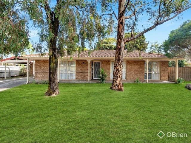 17 Wentworth Street, VIC 3977