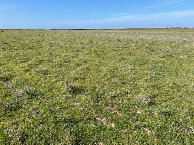 Lot 18 Tod Highway, SA 5650