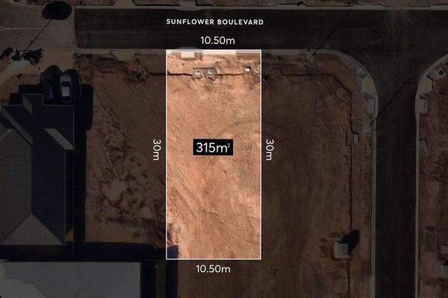 228/null Sunflower Boulevard, SA 5120