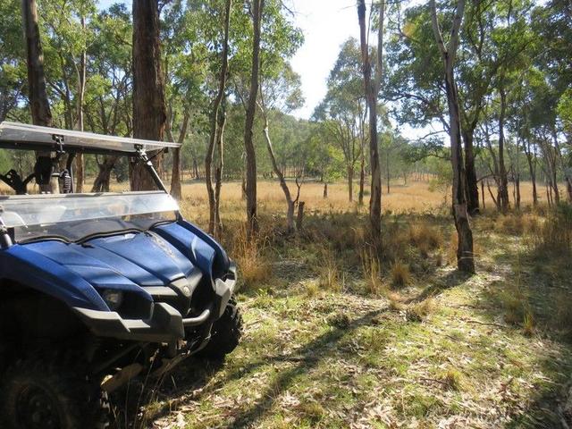 "Boondaroo" 1697 Bingara Road, NSW 2359