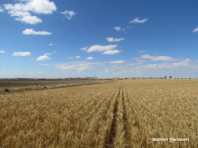 23924 Great Northern Highway, WA 6609