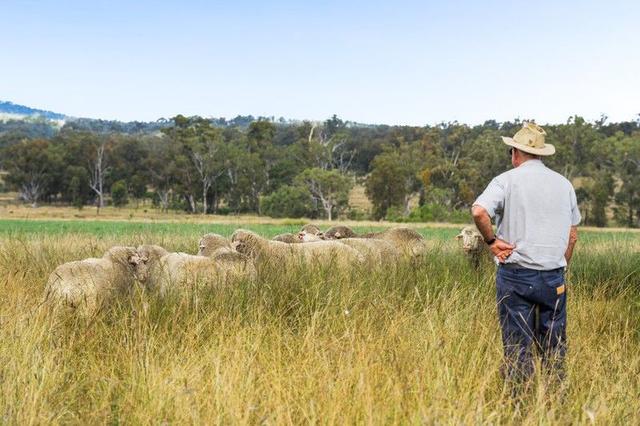 "Linallie" 2263 Greenup Limevale Road, QLD 4387