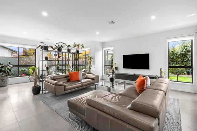 14 Waratah Street, ACT 2602