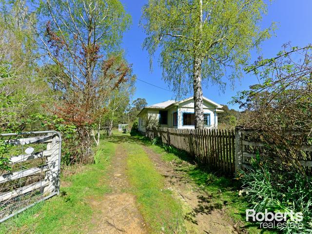 111 Dillons Road, TAS 7140