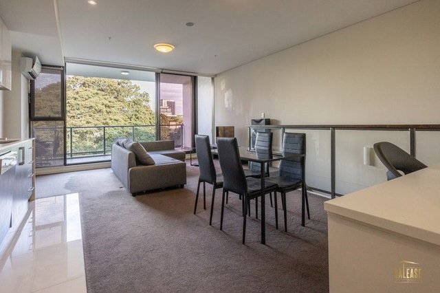 315/19 Joynton Ave, NSW 2017