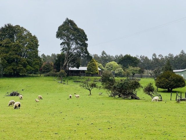 1160 Takone Road, TAS 7325