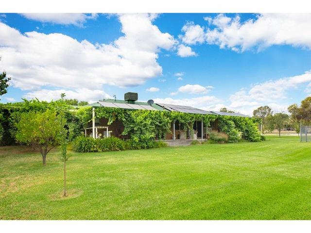 19 Tynan Road, NSW 2640