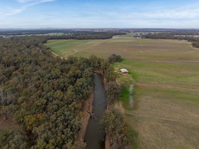 193 McPhillamys Lane, NSW 2871