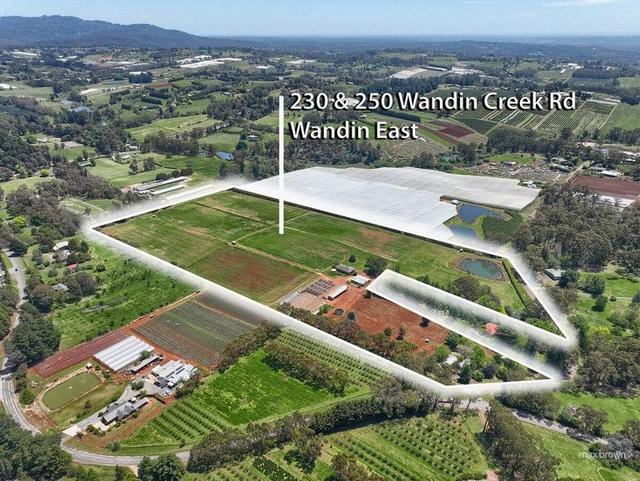230-250 Wandin Creek Road, VIC 3139