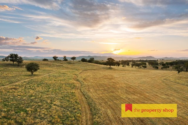 705 Springfield Lane, NSW 2852