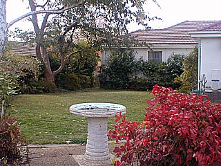 Rear yard