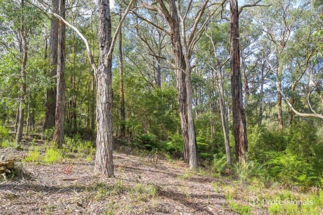 22 Yarra Valley Crescent, VIC 3799