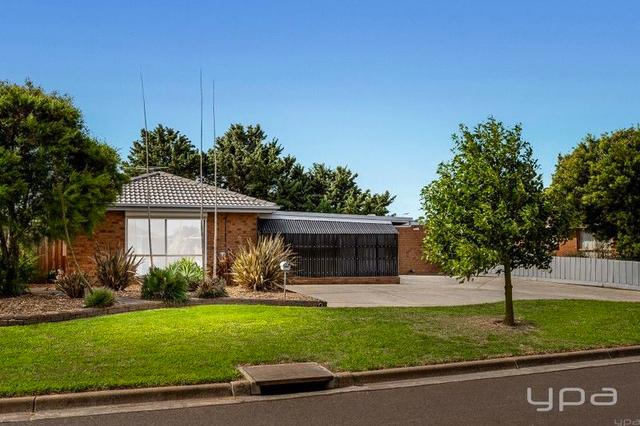 8 Thoroughbred Avenue, VIC 3030