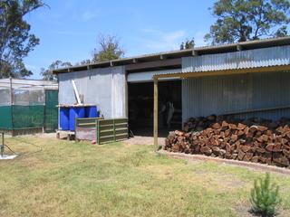 Shed (2006-12-07)