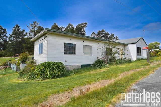 14 Shaw Street, TAS 7252