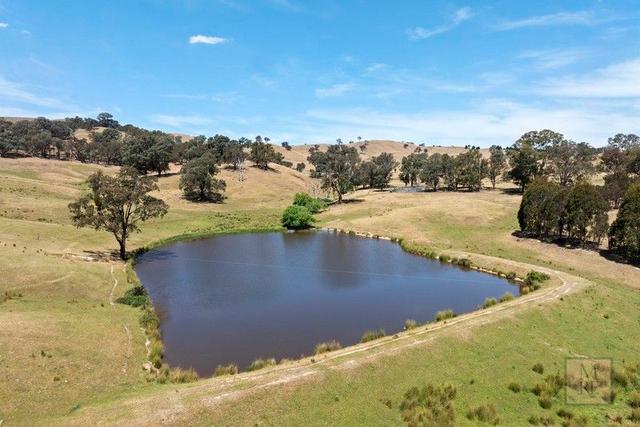 'Dalhaven' Via Hells Hole Creek Road, VIC 3720