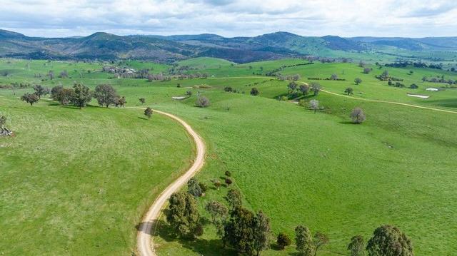 242 Back Nacki Creek Road, NSW 2729