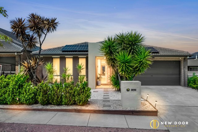 22 Henry Williams Street, ACT 2914