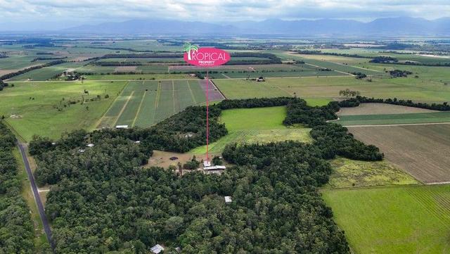 629 Tully Gorge Rd, QLD 4854