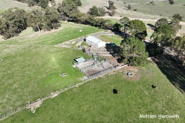 51 & 95 Kuhnes Road, VIC 3953