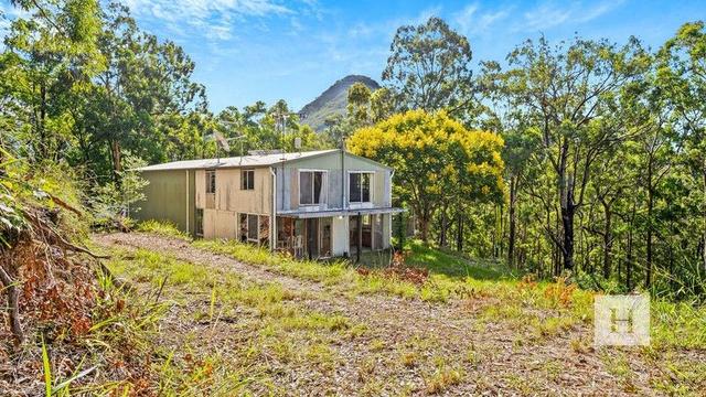339 Mount Coxcombe Road, NSW 2430