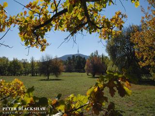 Parkland Surrounding Mount Batten Park (2019-05-23)