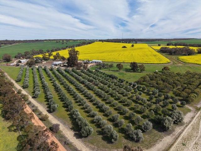 1182 Doodenanning - Mawson Road, WA 6383