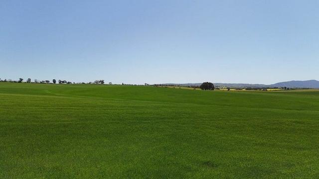 'Ryans' Archie Road, SA 5481