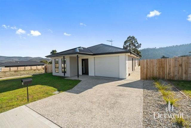 31 Bluetongue Drive, TAS 7140