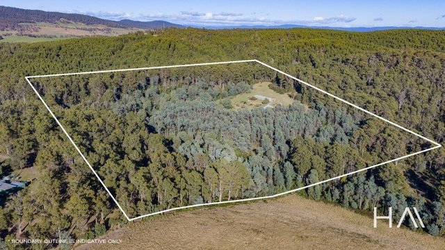 2235 Pipers River  Road, TAS 7252