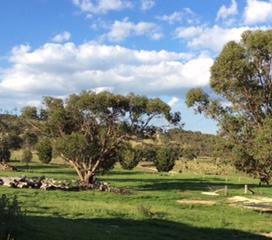 View from Cottage