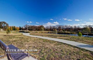 Wetlands (2013-06-12)