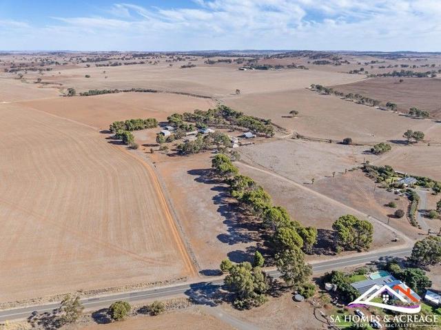 1282 Curio Highway, SA 5374