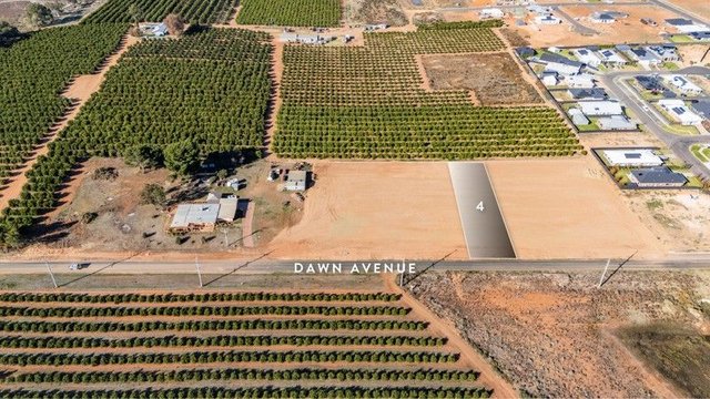 4/86 Dawn Avenue, NSW 2738