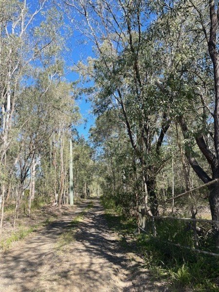 19 Glynton Rd, QLD 4280