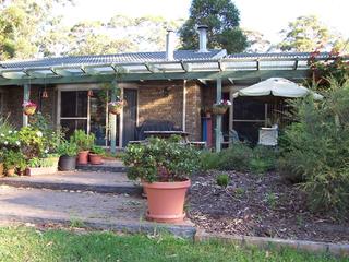 Rear View (2006-12-19)