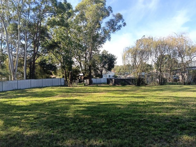438 Wollombi Rd, NSW 2325