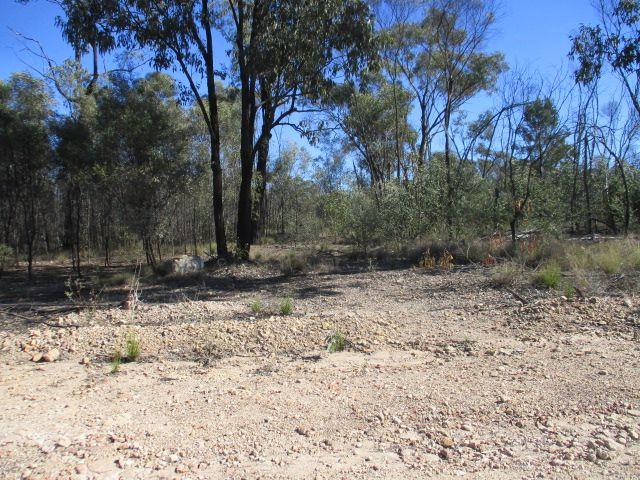 Lot 29 Dahlkes  Road, QLD 4421