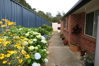 Side of House (2011-12-07)