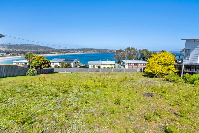 12 Carlton Bluff Road, TAS 7173