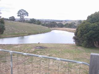 Dam (2006-11-28)