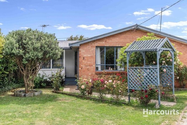 3 Salier Place, TAS 7260