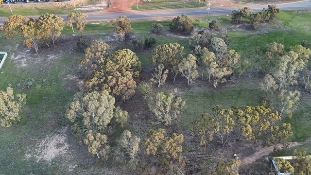 307/null Katanning-Nyabing Road, WA 6317