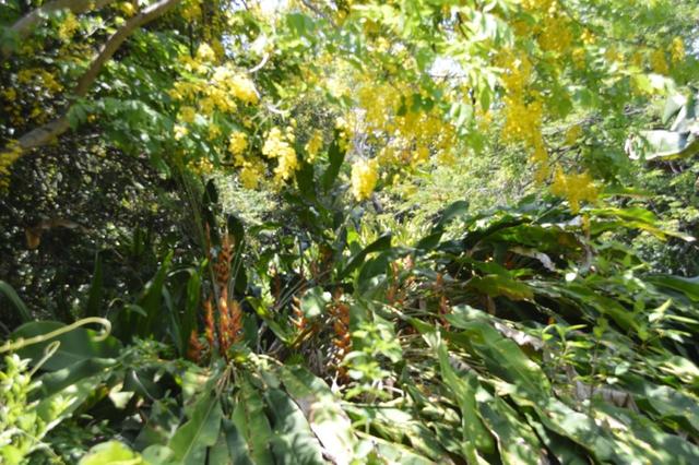 (no street name provided), NT 0822