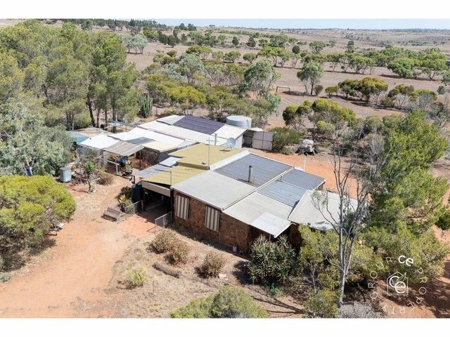 444 Panican Hill Road, SA 5254