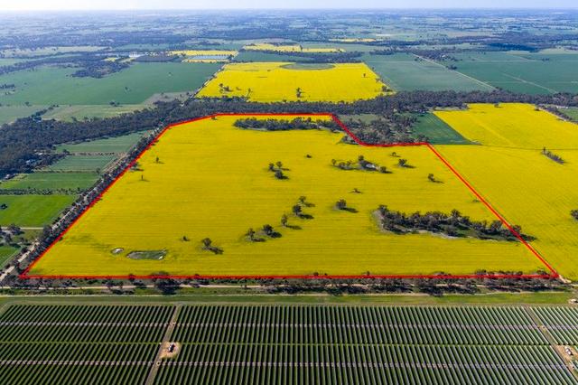 445 Kellys Road, VIC 3636
