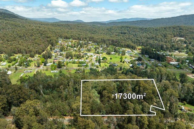 42 Woods Point Road, VIC 3779
