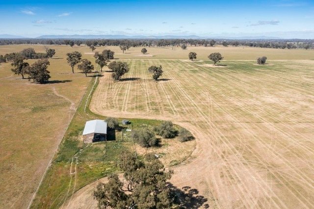 CA18 Goomalibee Rd, VIC 3673