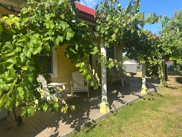 15 Gilbert Street, NSW 2653